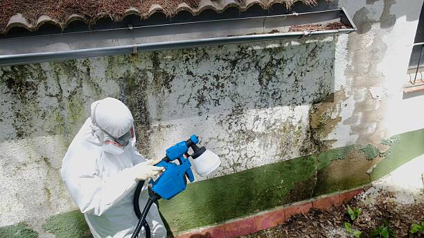 Top rated local Mold Remediation specialists in Paris, VA